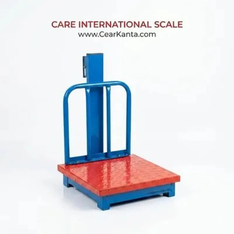 24x24 Platform Scale MS - Care International Scale Pakistan