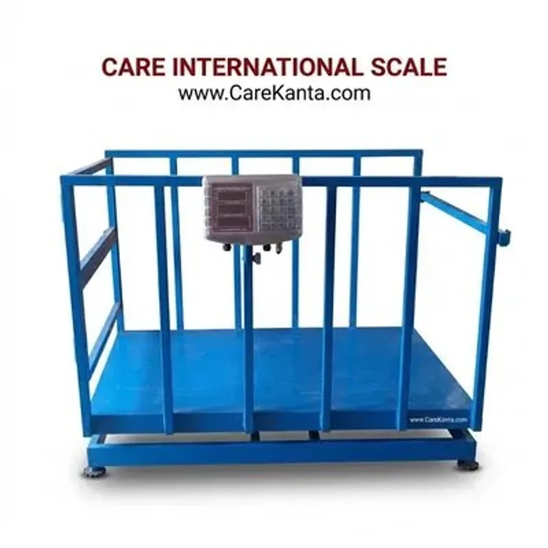 4ft x 2ft Animal Weighing Scale for Goat Platform Scales - Care International Scale Pakistan