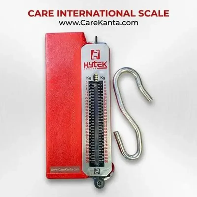 Linear Hytek 100kg Steel Plate Scale Spare Parts - Care International Scale Pakistan