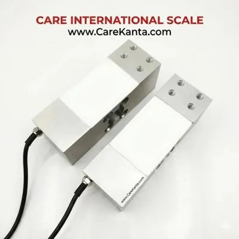 Load Cell 500kg CZL/Big Block - Care International Scale Pakistan