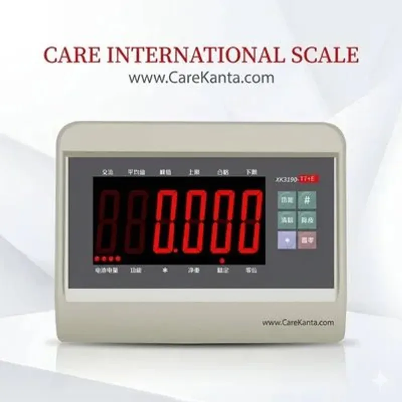 YH T7 Plastic Body, RS232 , 6v Battery, Yaohua China Indicators & Controllers - Care International Scale Pakistan