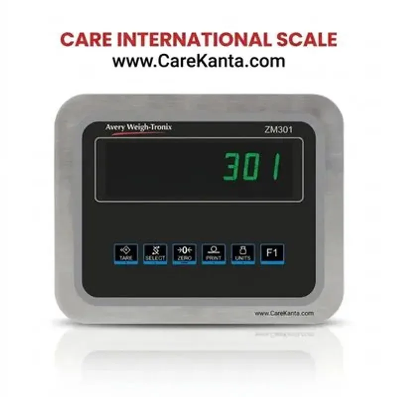 ZM-301 Steel Body, RS232, AVERY INDICATOR Indicators & Controllers - Care International Scale Pakistan